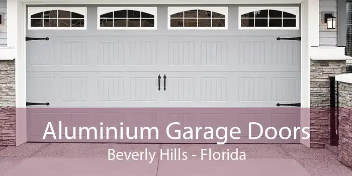 Aluminium Garage Doors Beverly Hills - Florida