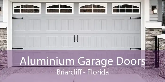 Aluminium Garage Doors Briarcliff - Florida