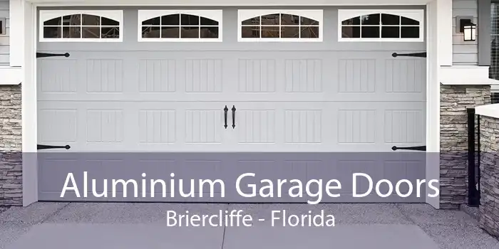 Aluminium Garage Doors Briercliffe - Florida