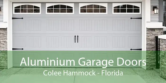 Aluminium Garage Doors Colee Hammock - Florida