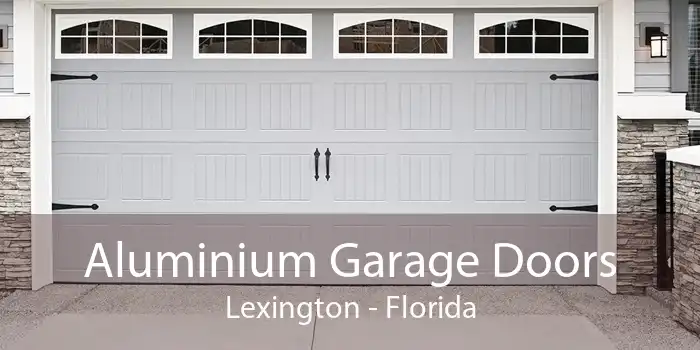 Aluminium Garage Doors Lexington - Florida