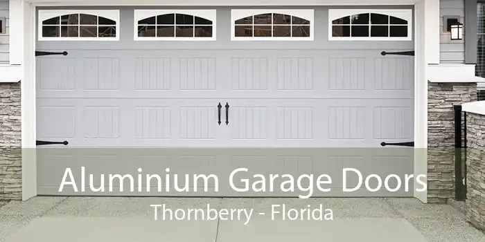 Aluminium Garage Doors Thornberry - Florida