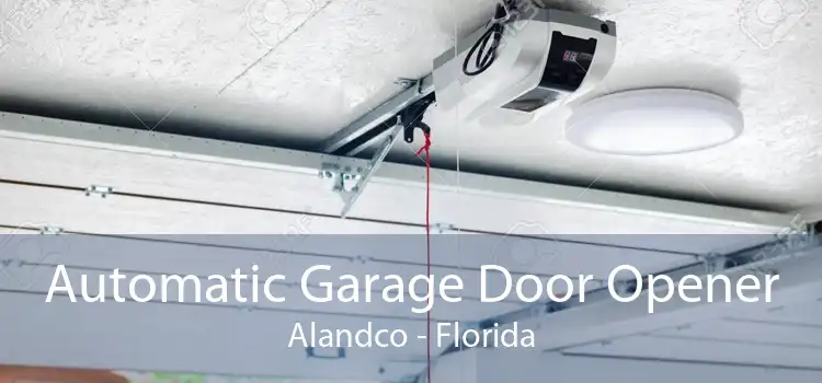 Automatic Garage Door Opener Alandco - Florida