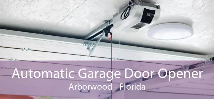 Automatic Garage Door Opener Arborwood - Florida