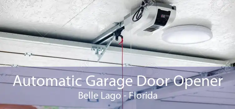 Automatic Garage Door Opener Belle Lago - Florida