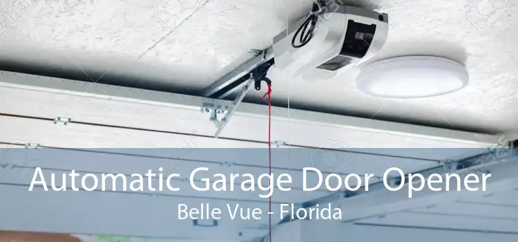 Automatic Garage Door Opener Belle Vue - Florida