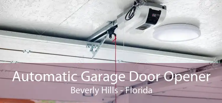 Automatic Garage Door Opener Beverly Hills - Florida