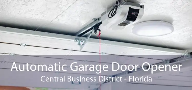 Automatic Garage Door Opener Central Business District - Florida