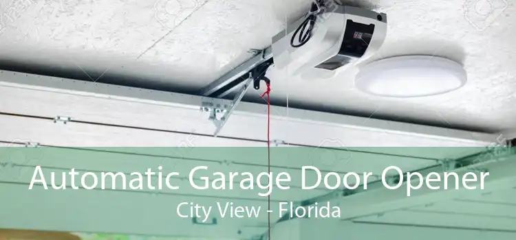 Automatic Garage Door Opener City View - Florida