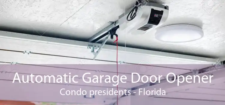 Automatic Garage Door Opener Condo presidents - Florida