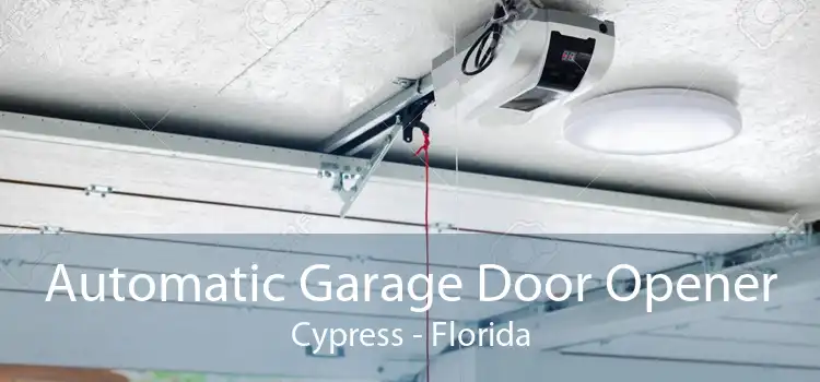 Automatic Garage Door Opener Cypress - Florida