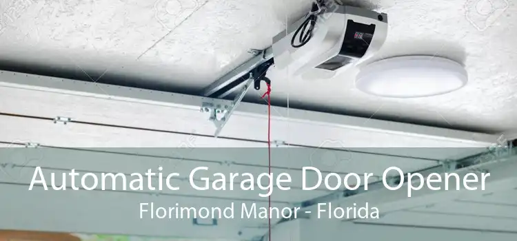 Automatic Garage Door Opener Florimond Manor - Florida