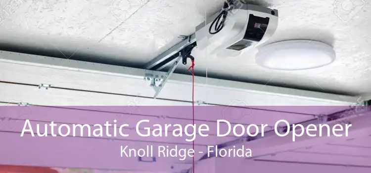 Automatic Garage Door Opener Knoll Ridge - Florida