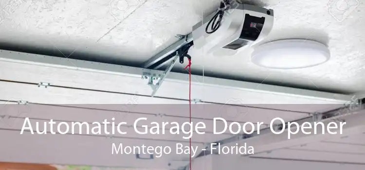 Automatic Garage Door Opener Montego Bay - Florida