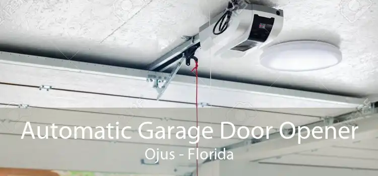 Automatic Garage Door Opener Ojus - Florida