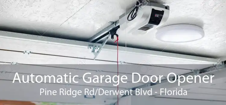 Automatic Garage Door Opener Pine Ridge Rd/Derwent Blvd - Florida