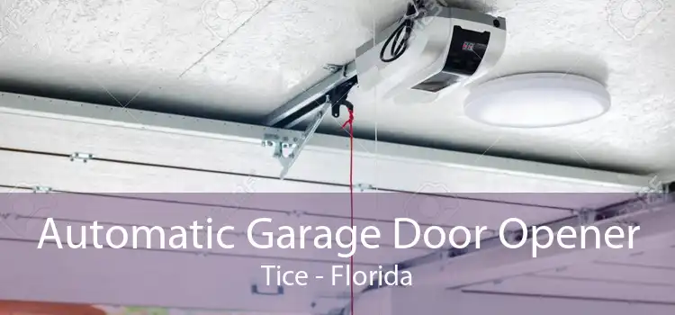 Automatic Garage Door Opener Tice - Florida