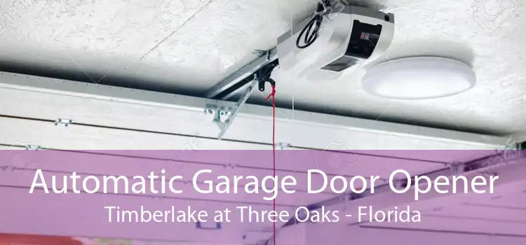 Automatic Garage Door Opener Timberlake at Three Oaks - Florida