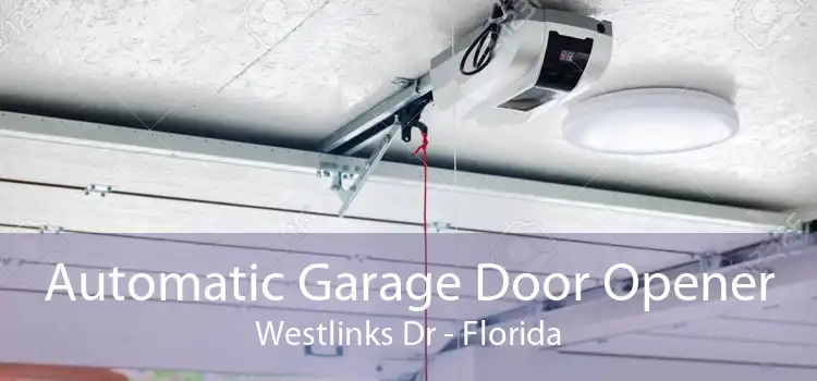 Automatic Garage Door Opener Westlinks Dr - Florida