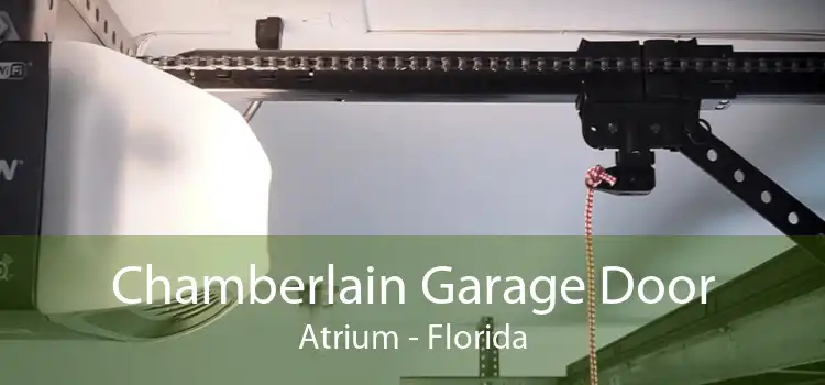 Chamberlain Garage Door Atrium - Florida