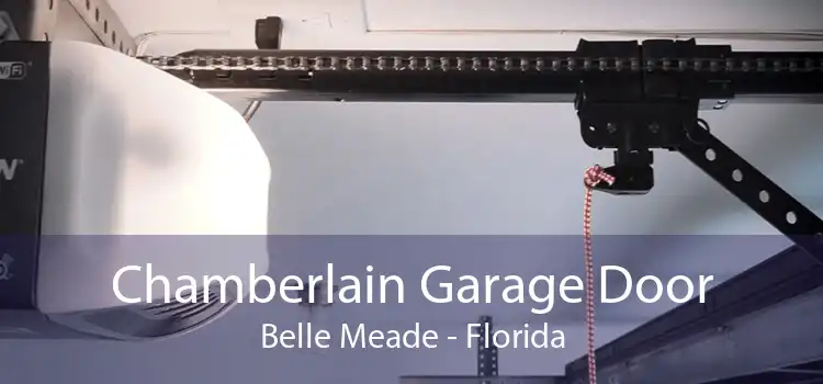 Chamberlain Garage Door Belle Meade - Florida