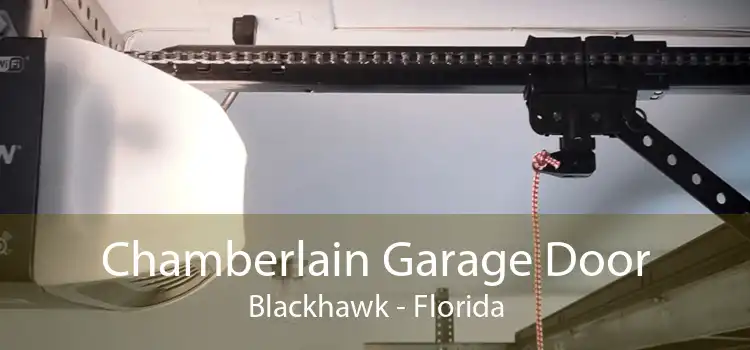 Chamberlain Garage Door Blackhawk - Florida