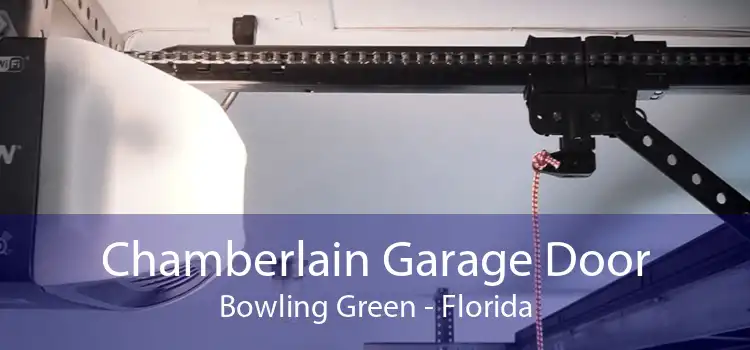 Chamberlain Garage Door Bowling Green - Florida