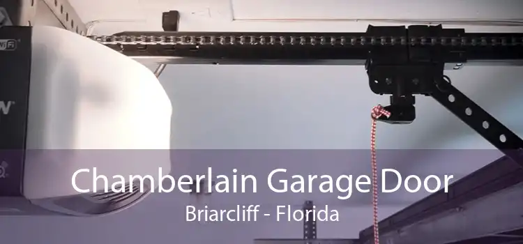 Chamberlain Garage Door Briarcliff - Florida