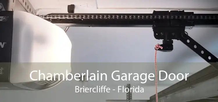 Chamberlain Garage Door Briercliffe - Florida