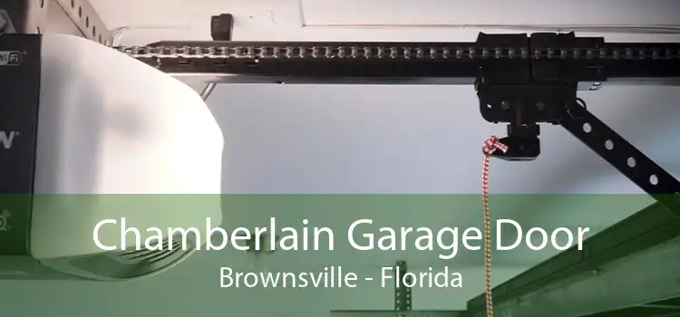 Chamberlain Garage Door Brownsville - Florida