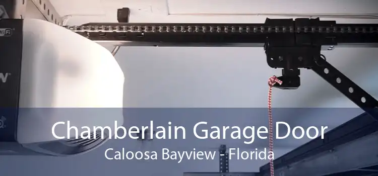 Chamberlain Garage Door Caloosa Bayview - Florida