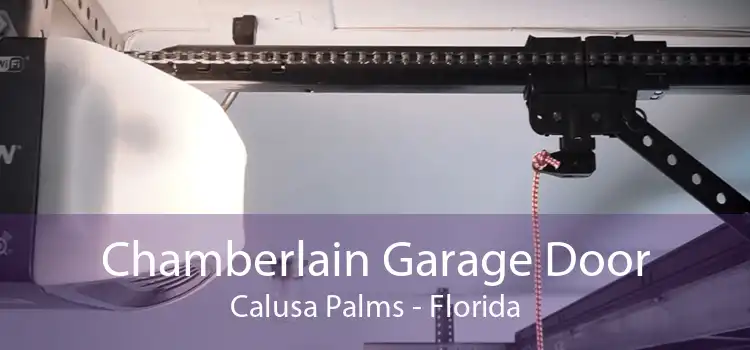 Chamberlain Garage Door Calusa Palms - Florida