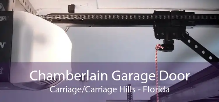 Chamberlain Garage Door Carriage/Carriage Hills - Florida