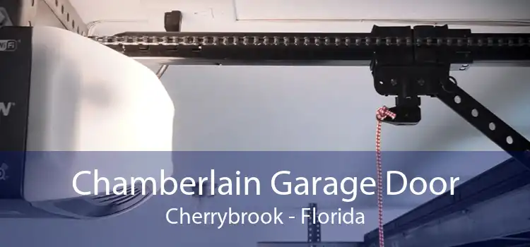 Chamberlain Garage Door Cherrybrook - Florida