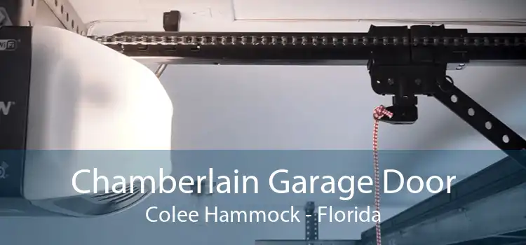 Chamberlain Garage Door Colee Hammock - Florida