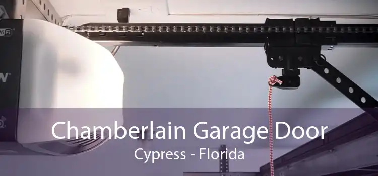 Chamberlain Garage Door Cypress - Florida