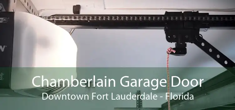 Chamberlain Garage Door Downtown Fort Lauderdale - Florida