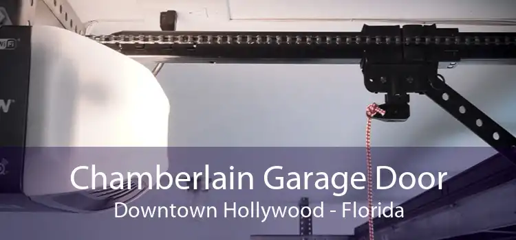 Chamberlain Garage Door Downtown Hollywood - Florida