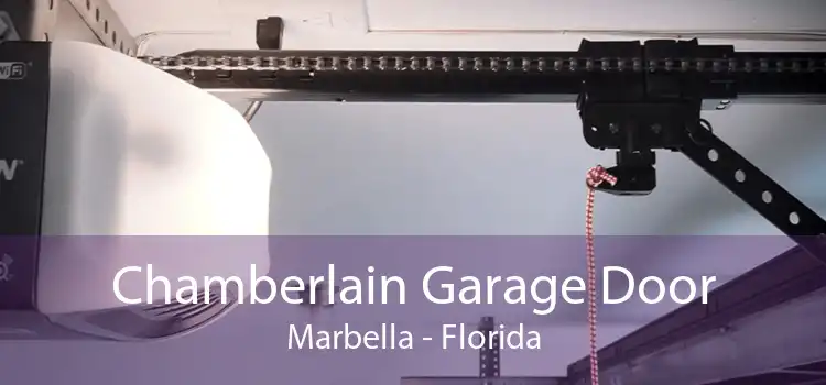 Chamberlain Garage Door Marbella - Florida