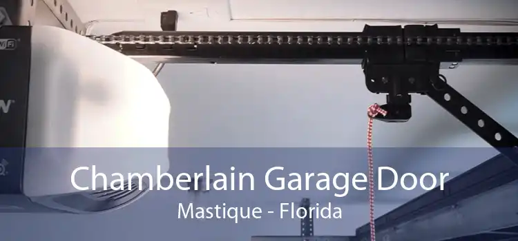 Chamberlain Garage Door Mastique - Florida