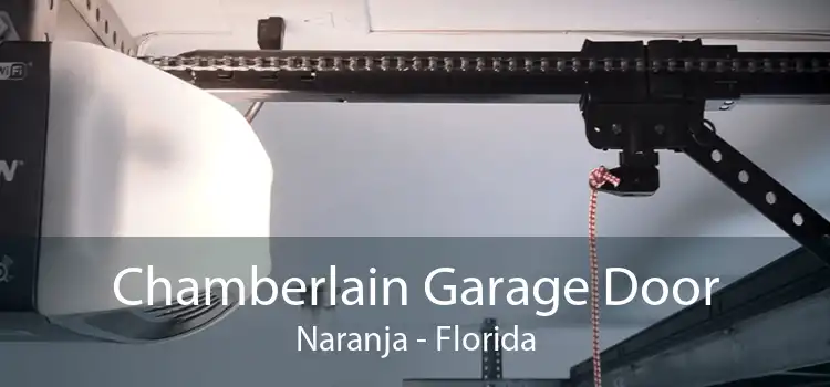 Chamberlain Garage Door Naranja - Florida