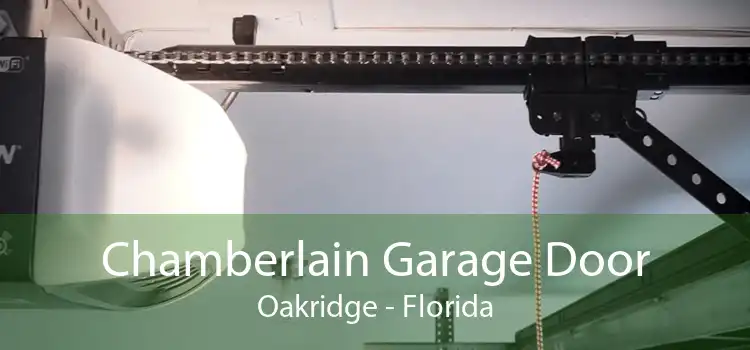 Chamberlain Garage Door Oakridge - Florida