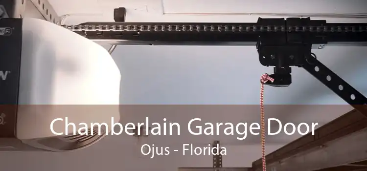 Chamberlain Garage Door Ojus - Florida