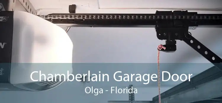 Chamberlain Garage Door Olga - Florida