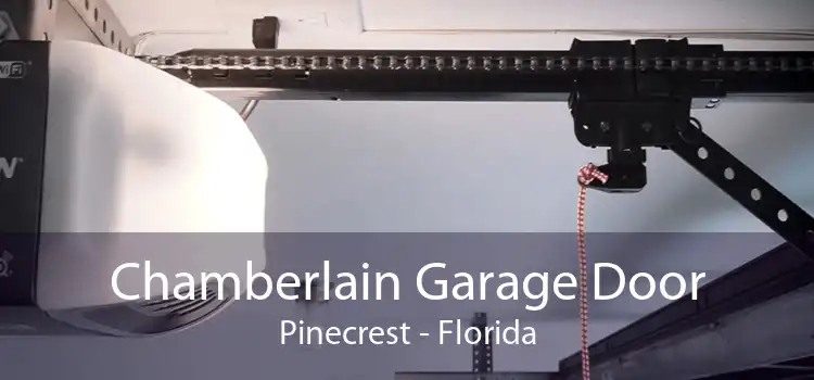 Chamberlain Garage Door Pinecrest - Florida