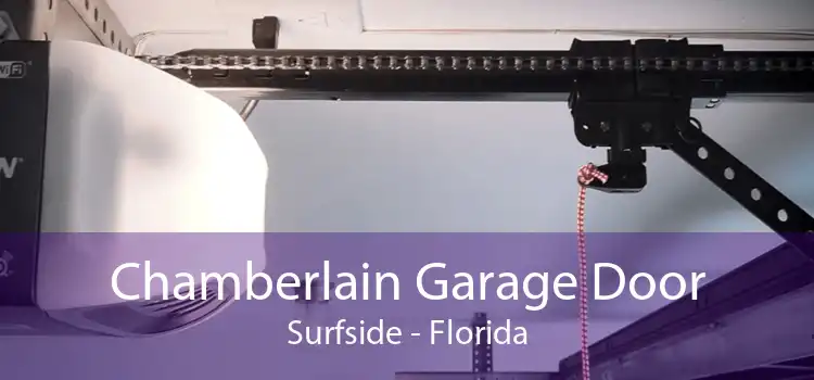 Chamberlain Garage Door Surfside - Florida