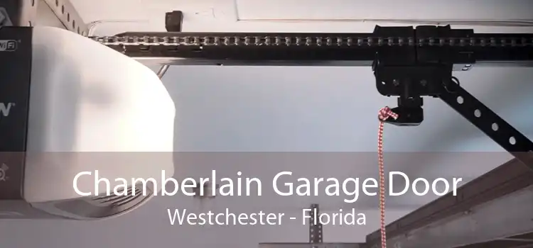 Chamberlain Garage Door Westchester - Florida