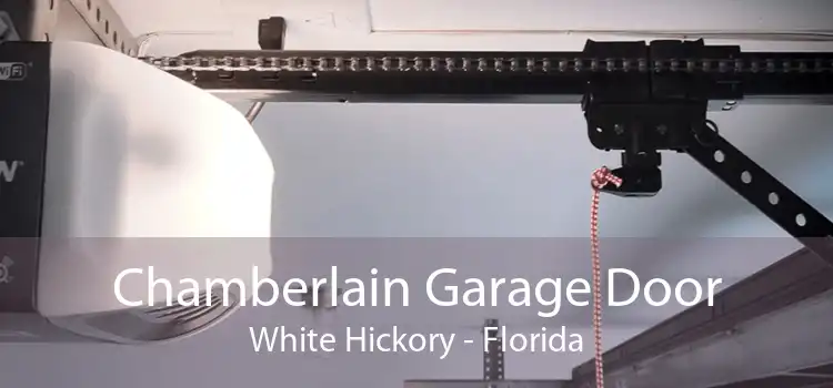 Chamberlain Garage Door White Hickory - Florida