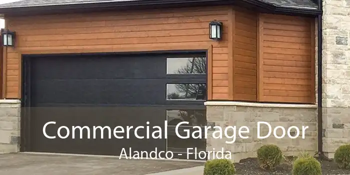 Commercial Garage Door Alandco - Florida