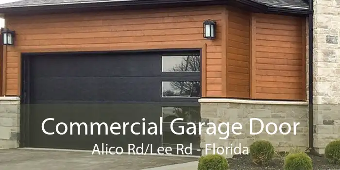 Commercial Garage Door Alico Rd/Lee Rd - Florida